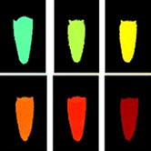 多通道近红外二区荧光寿命成像(Nat. Nanotechnol, 2018,13,941-946)