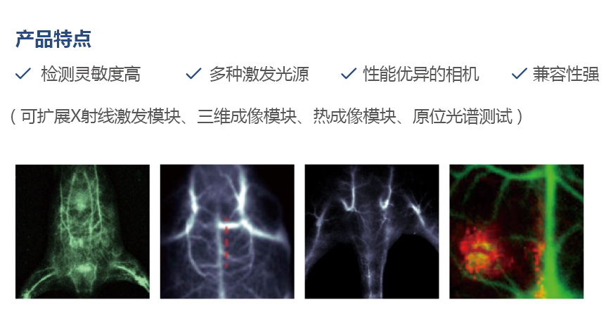 近红外二区小动物活体成像系统NIR-II-ST