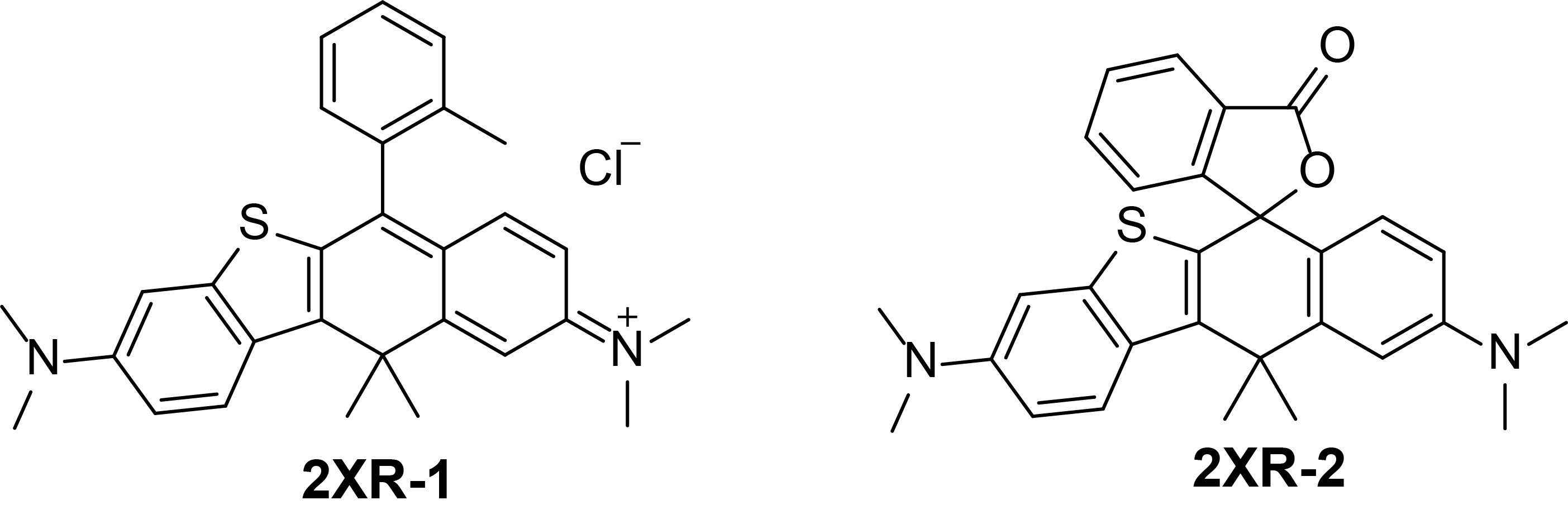 2XR-1 化学结构