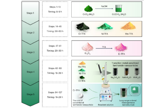 NIR-II激发和发射的新型过渡金属敏化镧系纳米粒子合成用于生物活体成像